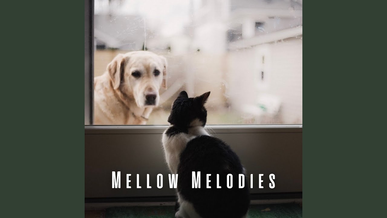 Peaceful Paws Piano Piece