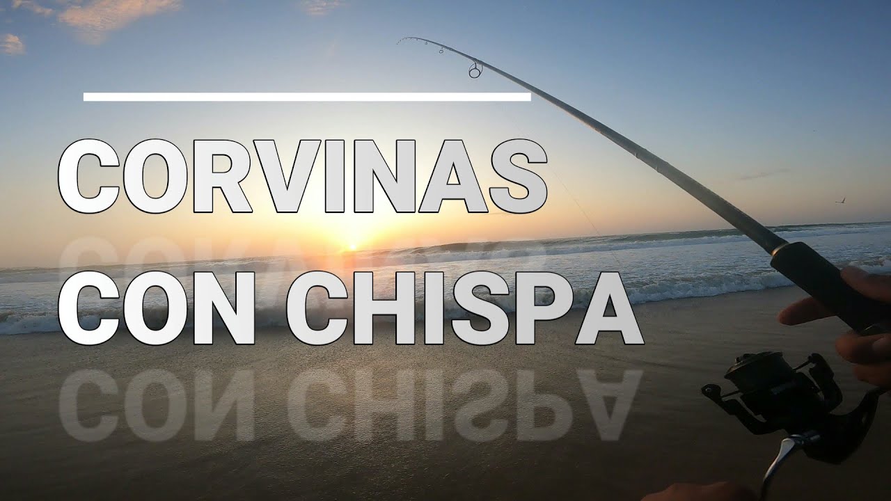 PESCA de CORVINAS con CHISPA 2022