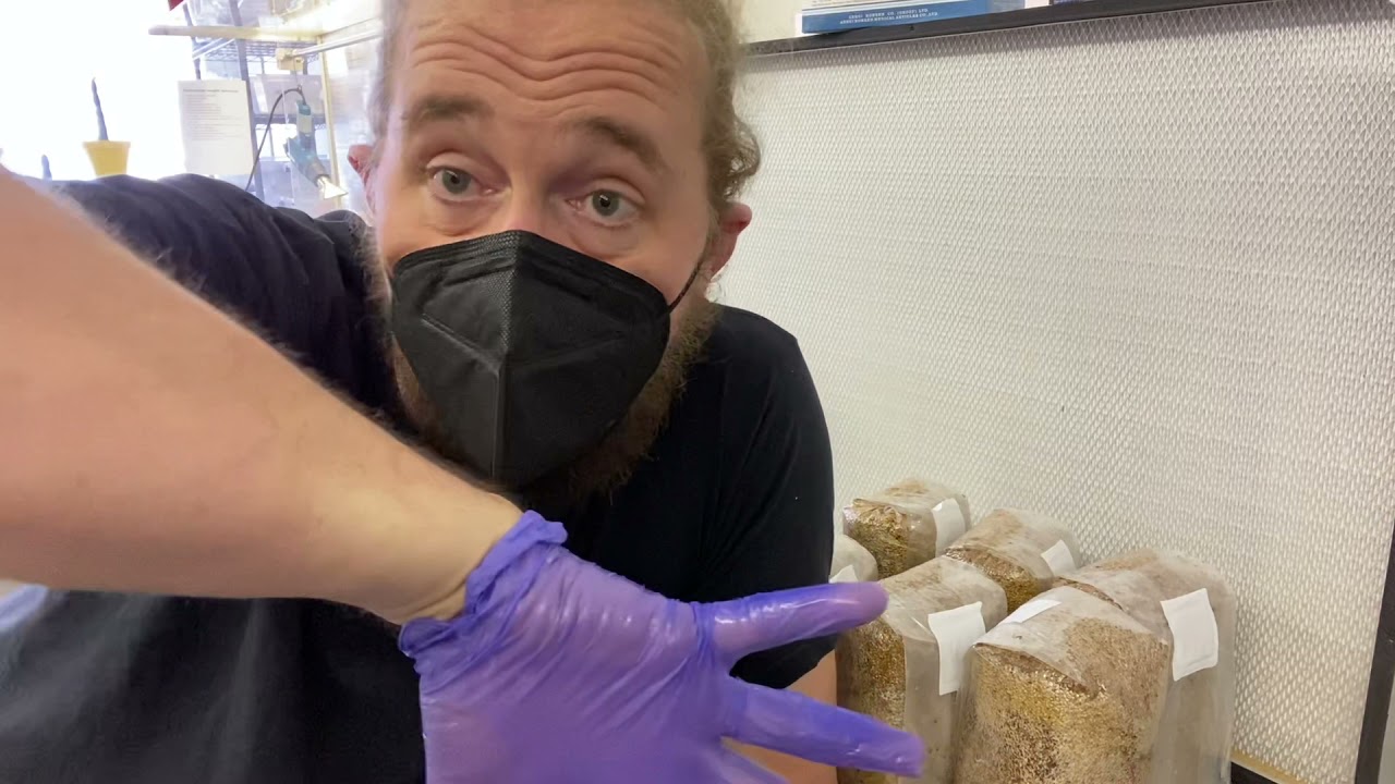 Humble Fungus Training Video 2: Sealing unicorn bags properly and post cook grain bag procedures