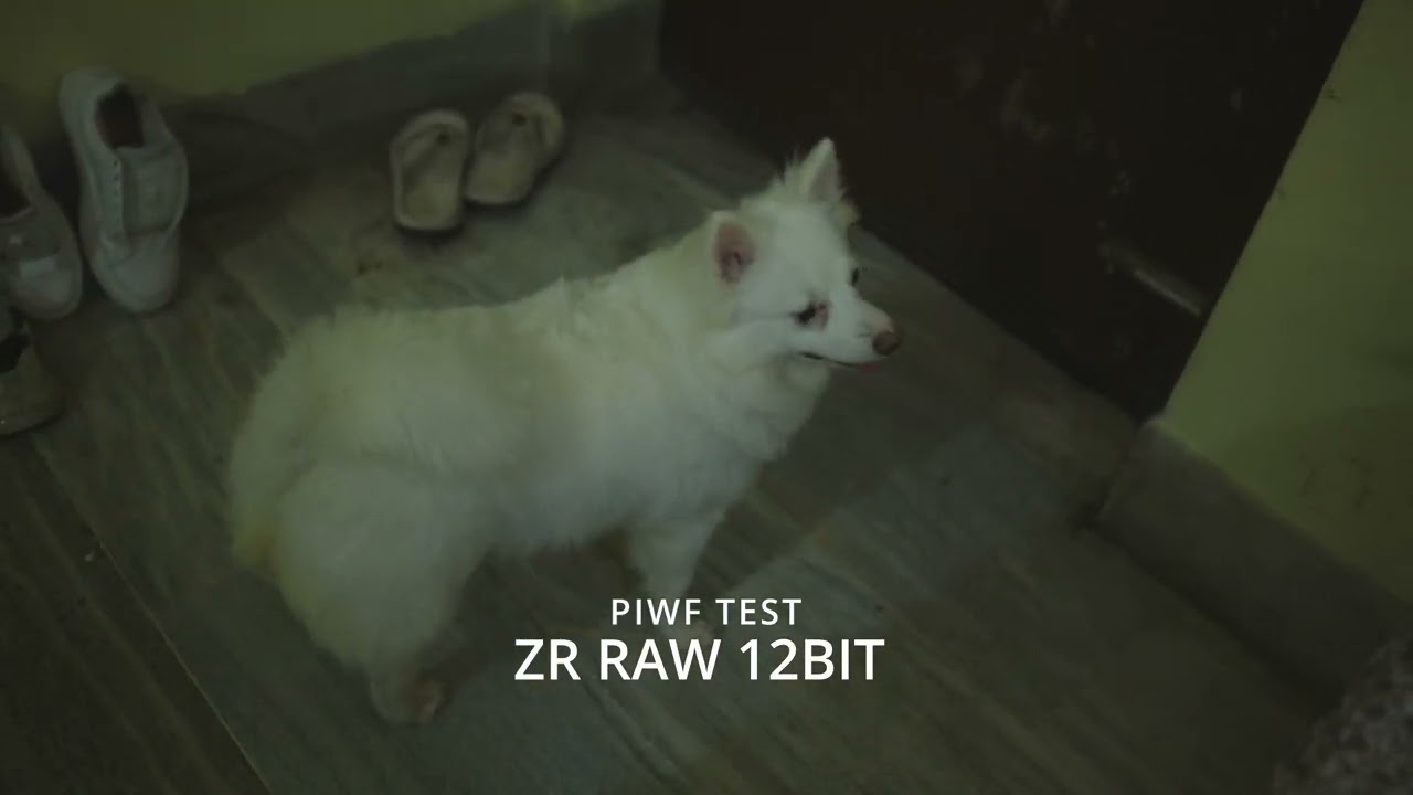 Nikon + Red 12BIT RAW Test , ProRes  4444 | PIWF INSTITUTE