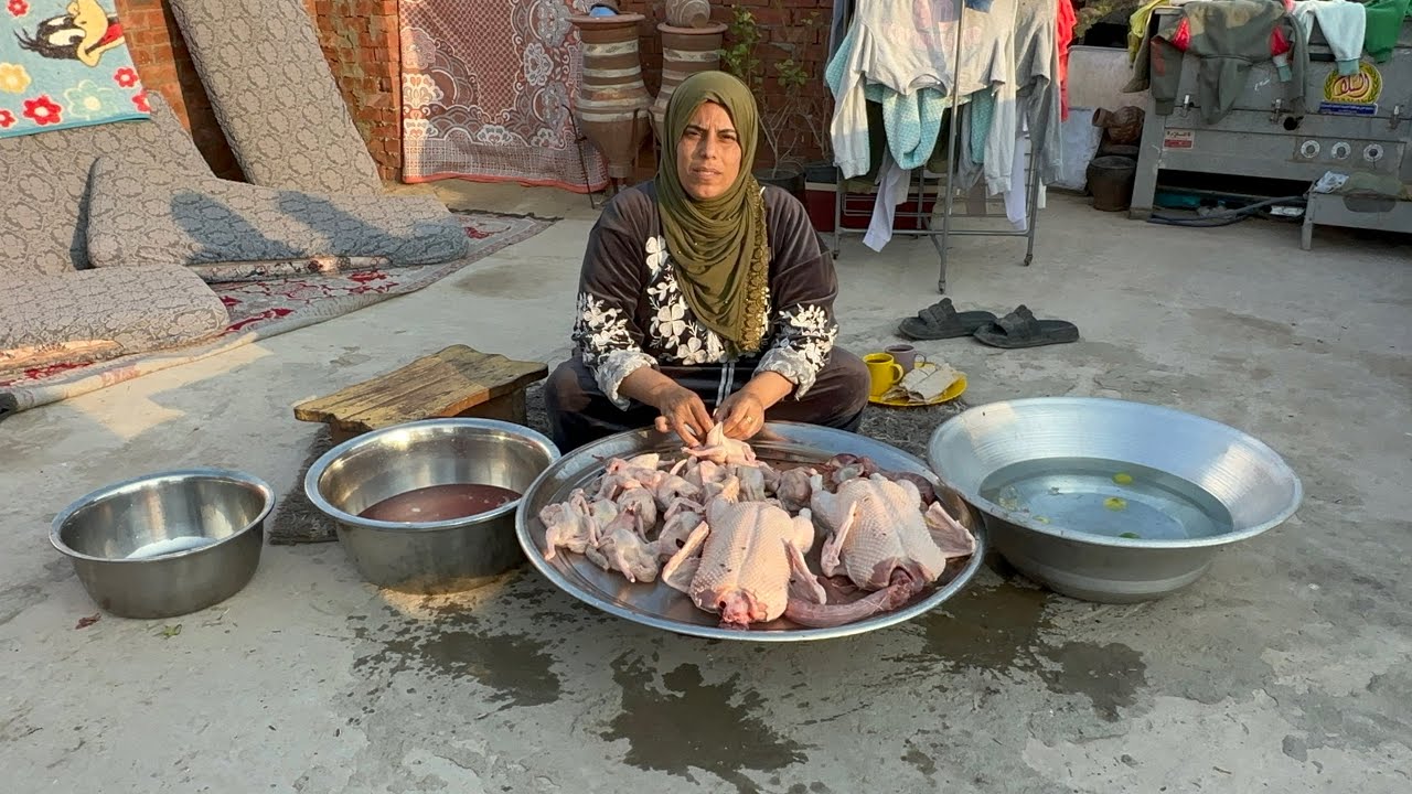 لينا فى كل حاجه كلمتنا اصل الشطارة شغلتنا حلل اتفاق العرايس والعرسان خدتها فحت وردم لم طلعت بالحلو