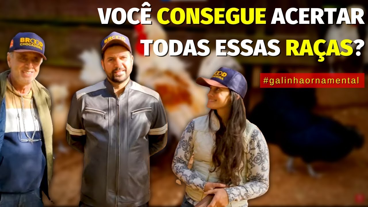 NUNCA tinha VISTO estas RAÇAS ORNAMENTAIS, criador fez uma SURPRESA ESPECIAL no final