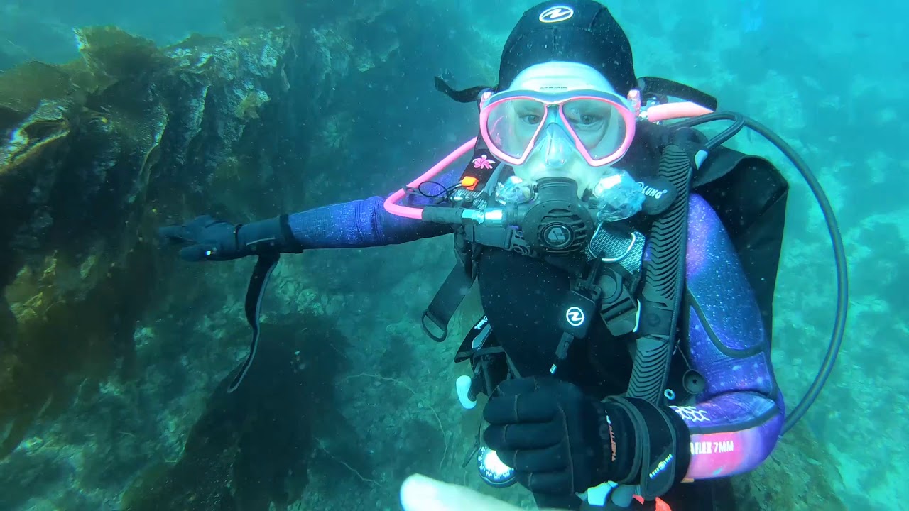 Catalina Dive Trip October 2019