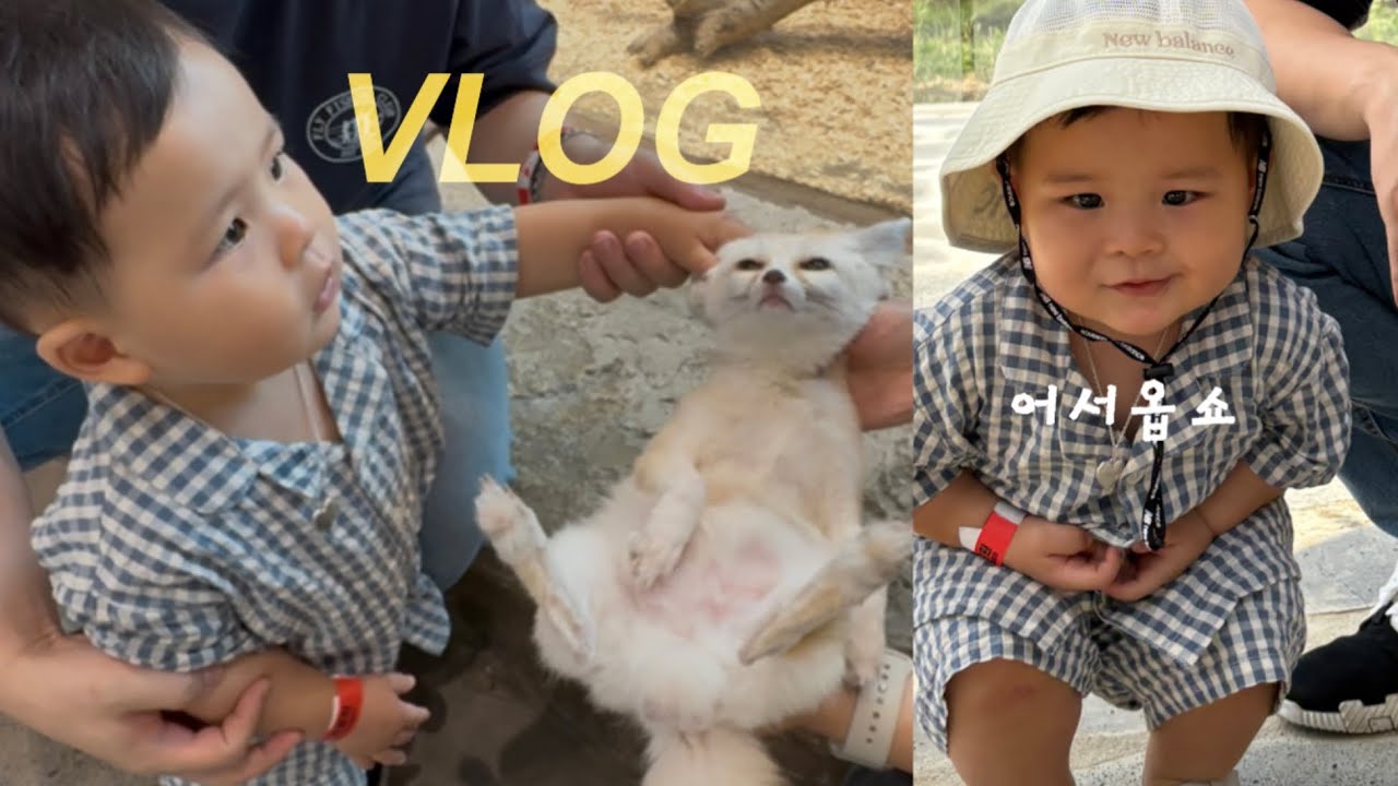 주말에 아이와 어디가지? l 와글와글 동물원🐼 언양 물닭갈비, 카페 디오디☕️