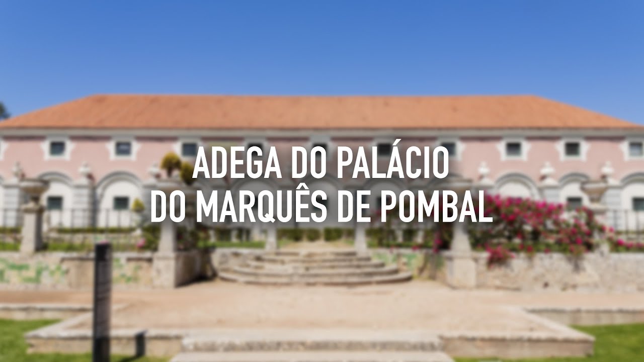 Adega do Palácio Marquês de Pombal • Oeiras • Portugal | BeSisluxe Tours