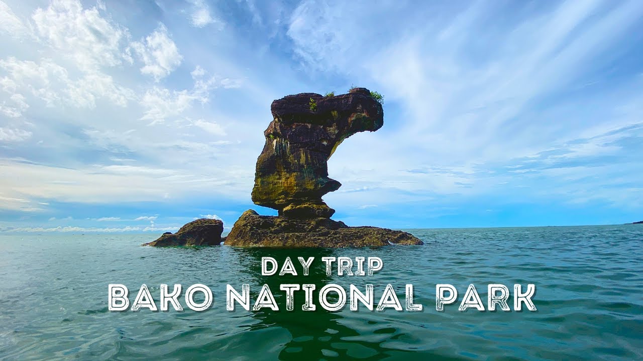 BAKO NATIONAL PARK DAY TRIP (Everything you Need to Know!)