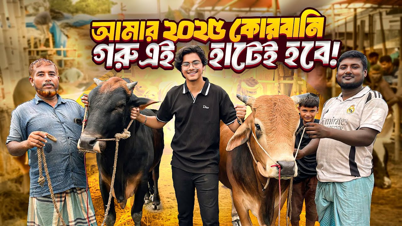 আমার ২০২৫ কোরবানি গরু এই হাটেই হবে | Nababi Haat | Qurbani cow hat 2025 | Shafin The Vloger Boy |