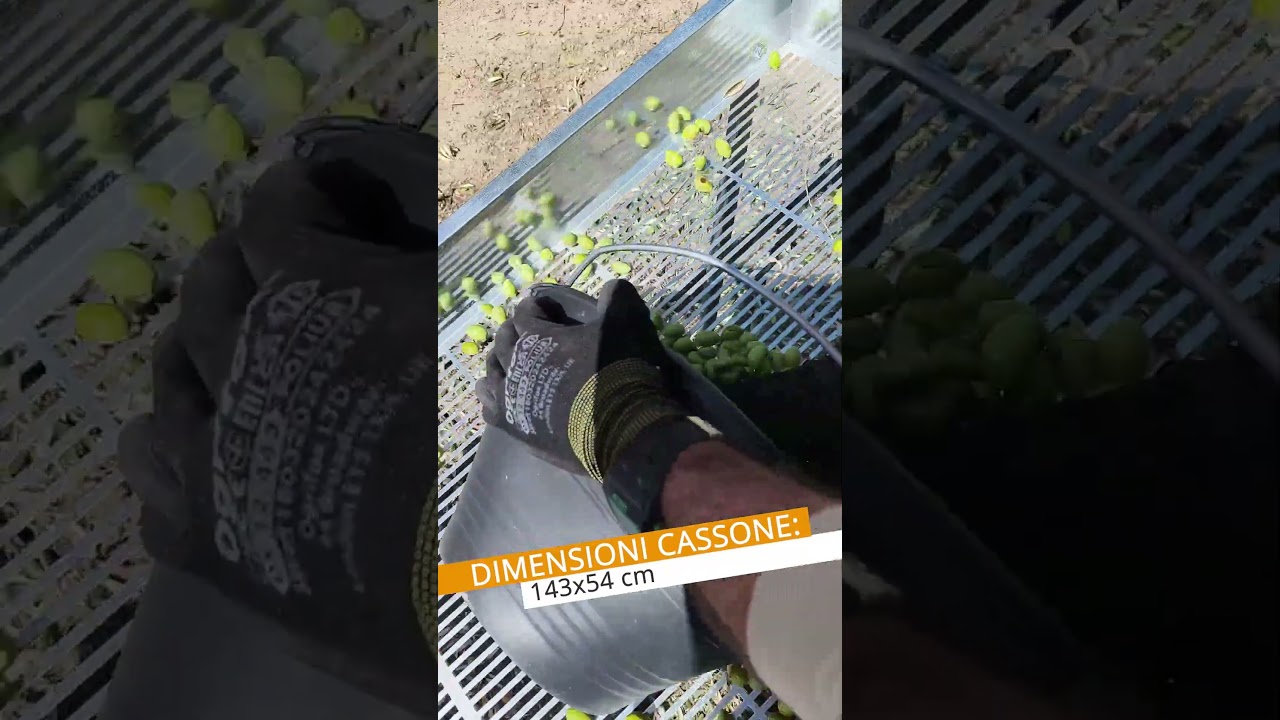 🫒 Defogliatrice per olive Mondial | #shorts