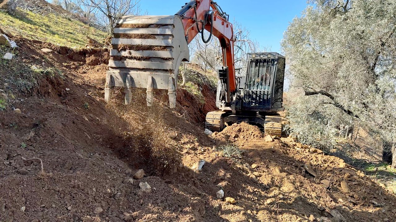Kendi Ağaçlarımız İçin Komşunun Çalılarını Köklüyoruz - Kepçe İşleri