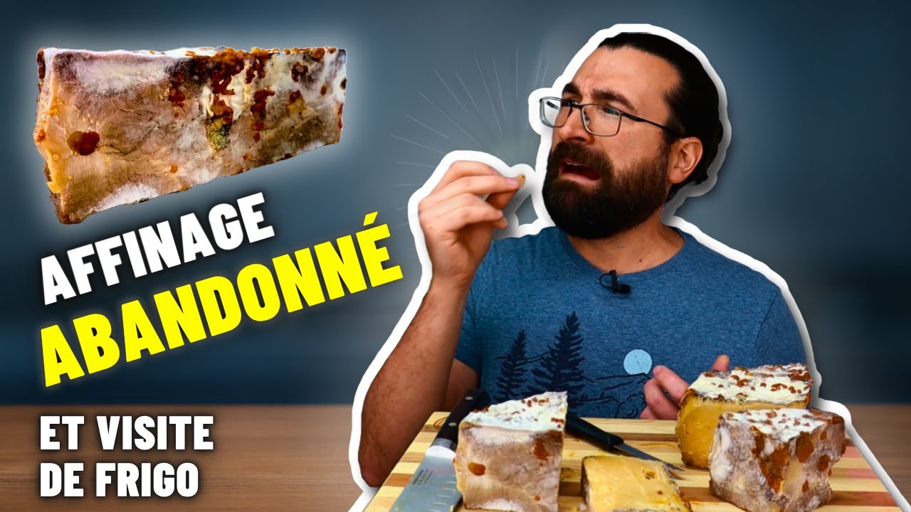 Je mange un fromage abandonné : Ce que j’ai trouvé dans mon frigo d’affinage !