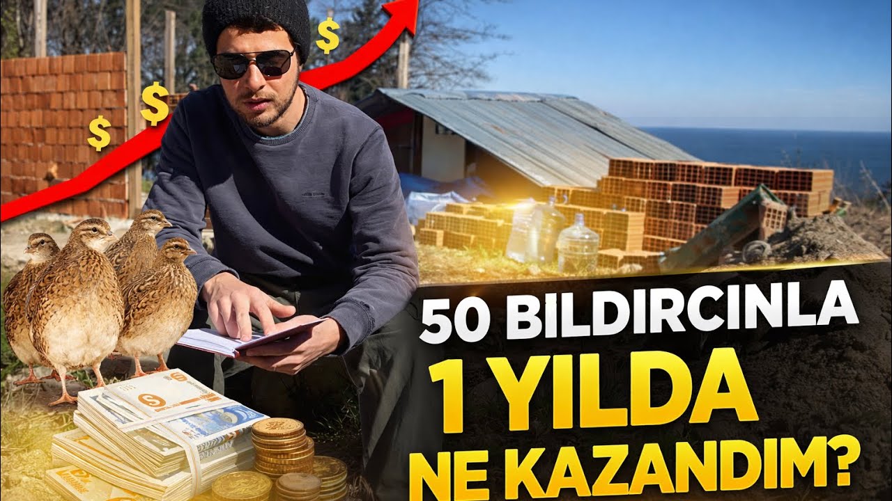 50 BILDIRCIN İLK 1 YILDA NE KAZANDIRDI ? 