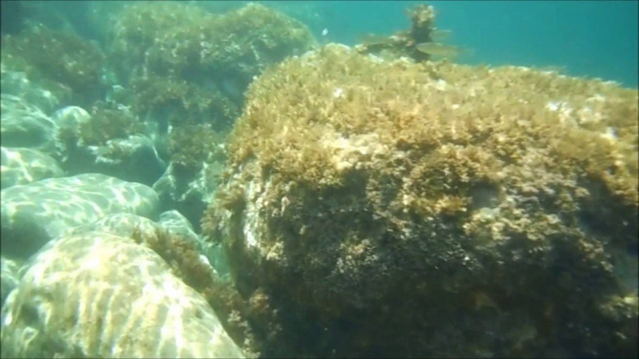 vid&eacute;os les aftis jijel