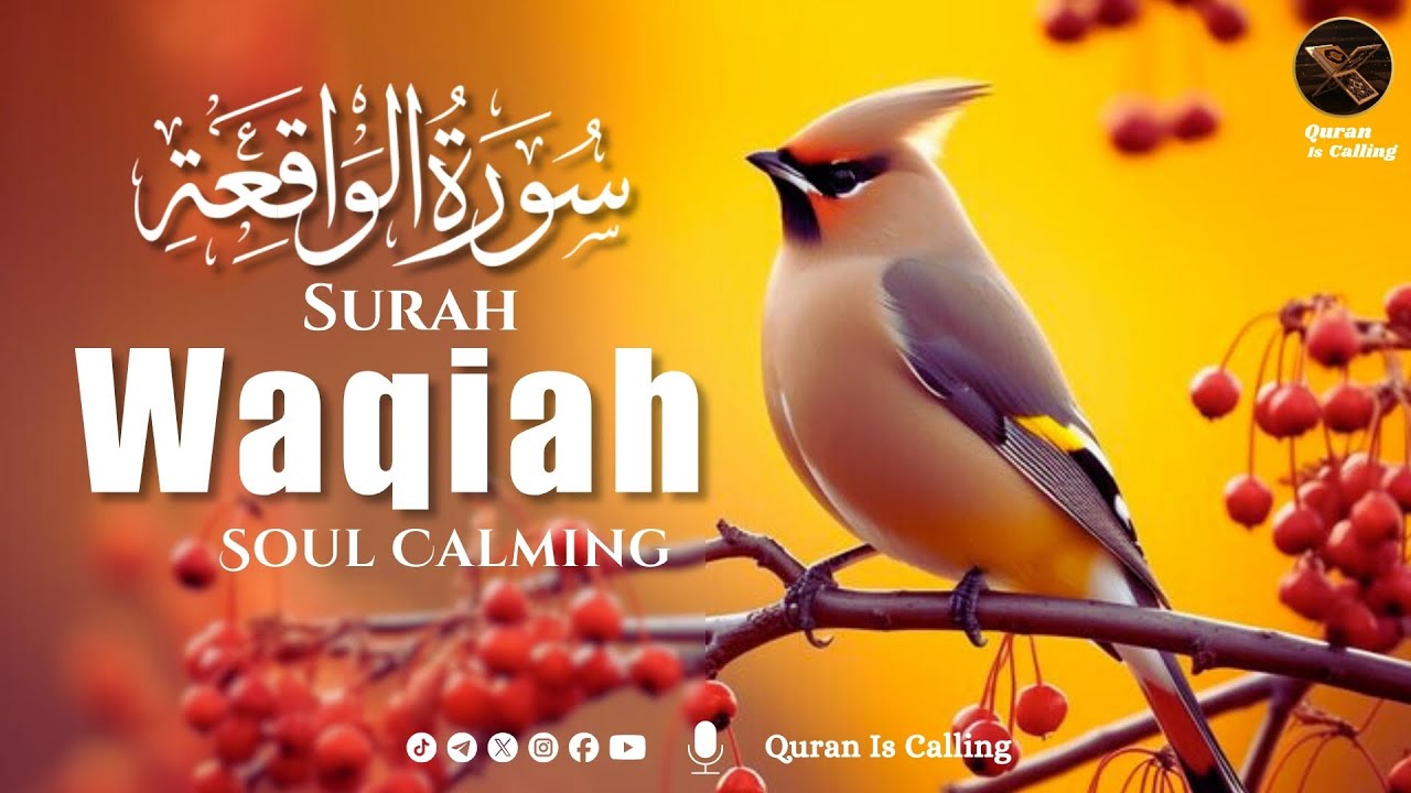 Most soothing recitation of Surah Al-Waqi'ah | سورة الواقعة | Quran is Calling