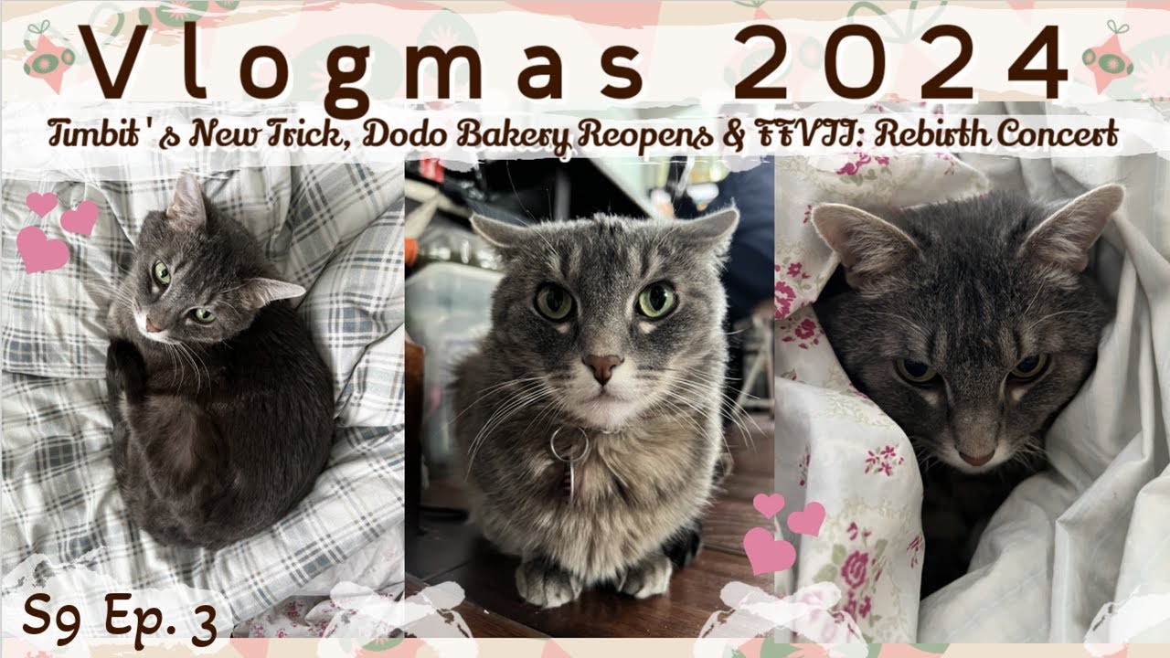 Vlogmas 2024 S9 Ep. 3 | Timbit's New Trick, Dodo Bakery Reopens & Final Fantasy Concert