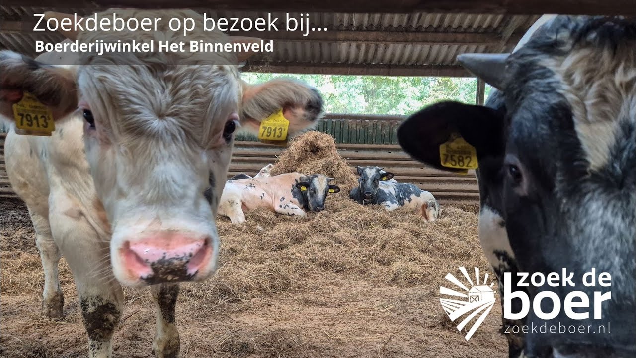 Boerderijwinkel Het Binnenveld in Rhenen. Zoekdeboer op bezoek bij de boer.