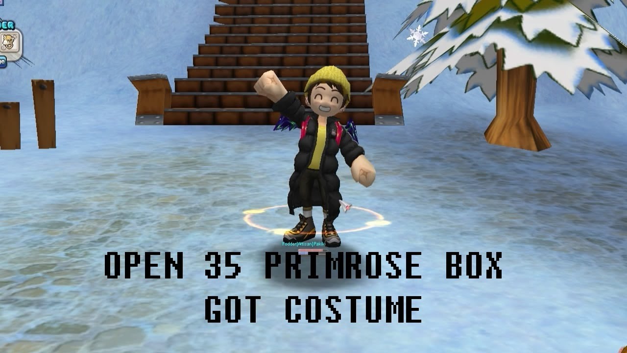 Open 35 Primrose Box Got Costume | Seal Online BOD