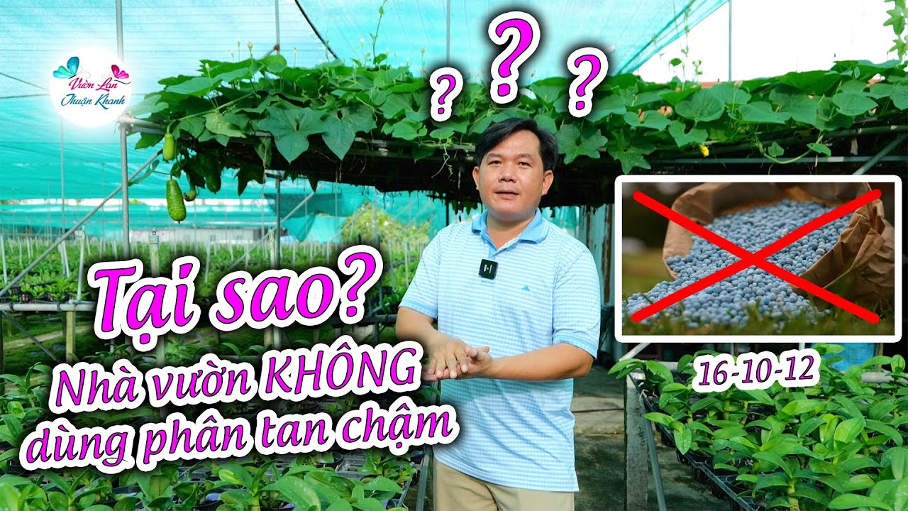 Phân tan chậm Việt Nam có thật HIỆU QUẢ không?
