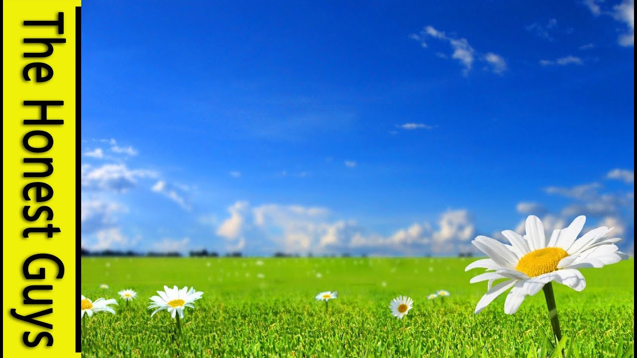 GUIDED MEDITATION - 