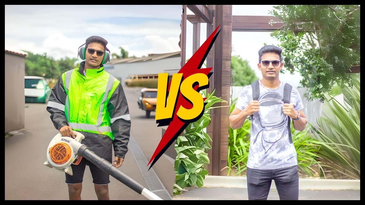 Work Visa vs Student Visa | Which is Better? | New Zealand for Study and Work