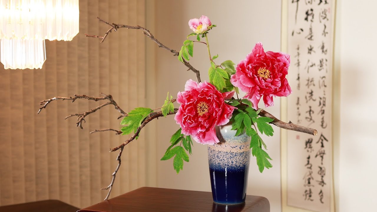 Oriental Flower Arrangement - Tree Peony Mu-dan/いけばな　ボタンの花　/牡丹插花（Canon R3）