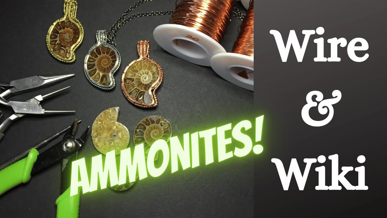 Ep.4 Sloped back setting for cut and polished Ammonites with a reading about Ammonoidea and Ammolite