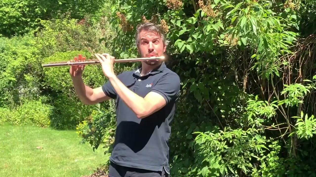 Brian Boru's March for Solo Flute/Whistle/Piccolo and Flute Ensemble