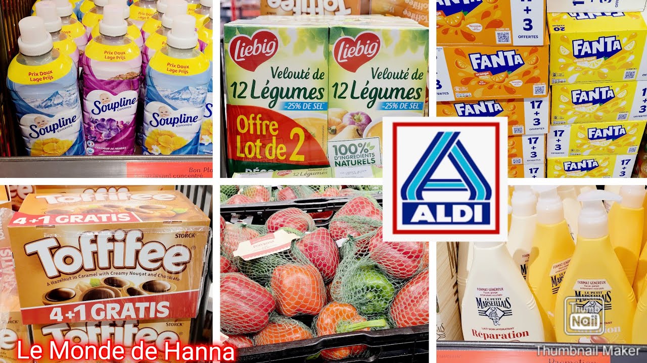 ALDI FRANCE ARRIVAGE 30-01 BONS PLANS COURSES