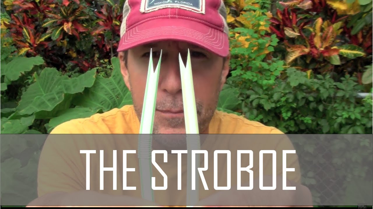 World Music Safari - The Stroboe