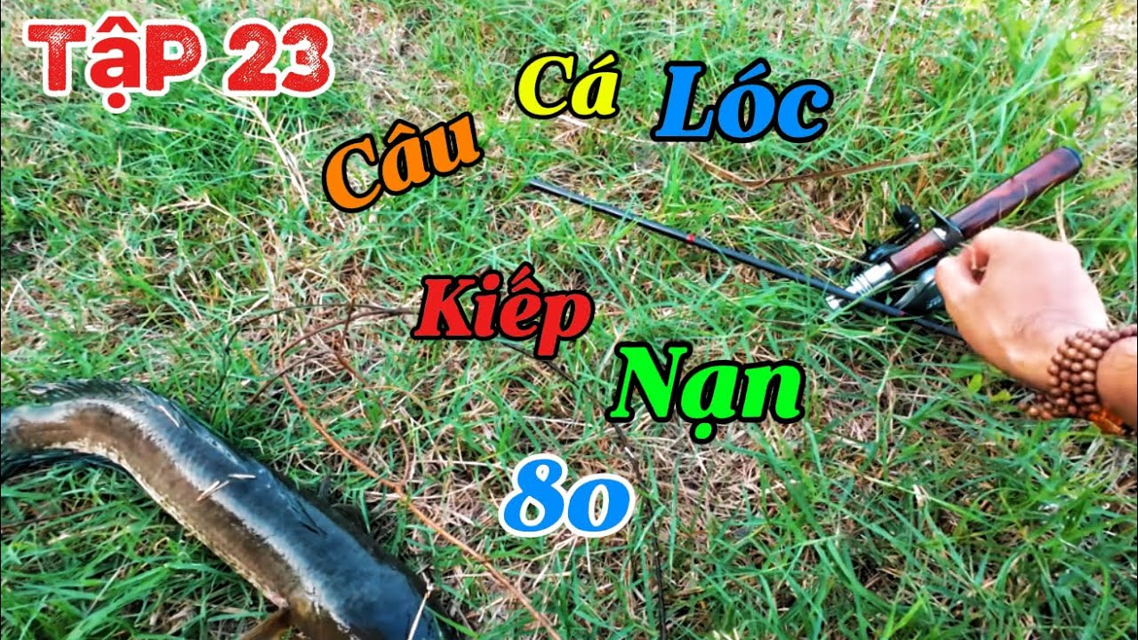Câu cá lóc tập 23. Gặp kiếp nạn rồi cả nhà ơi! Spearfishing vietnam!@Thuvuisanbat62 