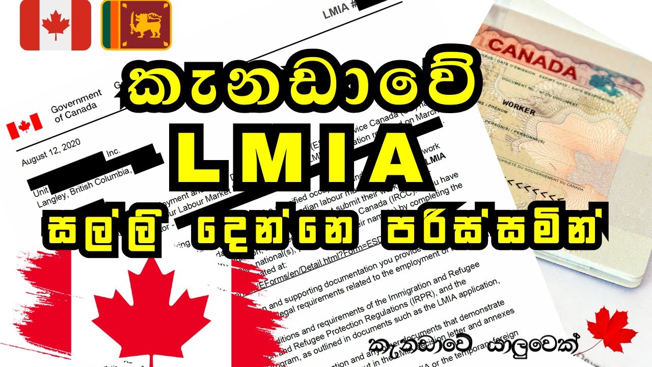 කැනඩා LMIA  | සල්ලි දෙන්නෙ පරිස්සමින් | කැනඩාවේ අපි @canadaweyaluwek