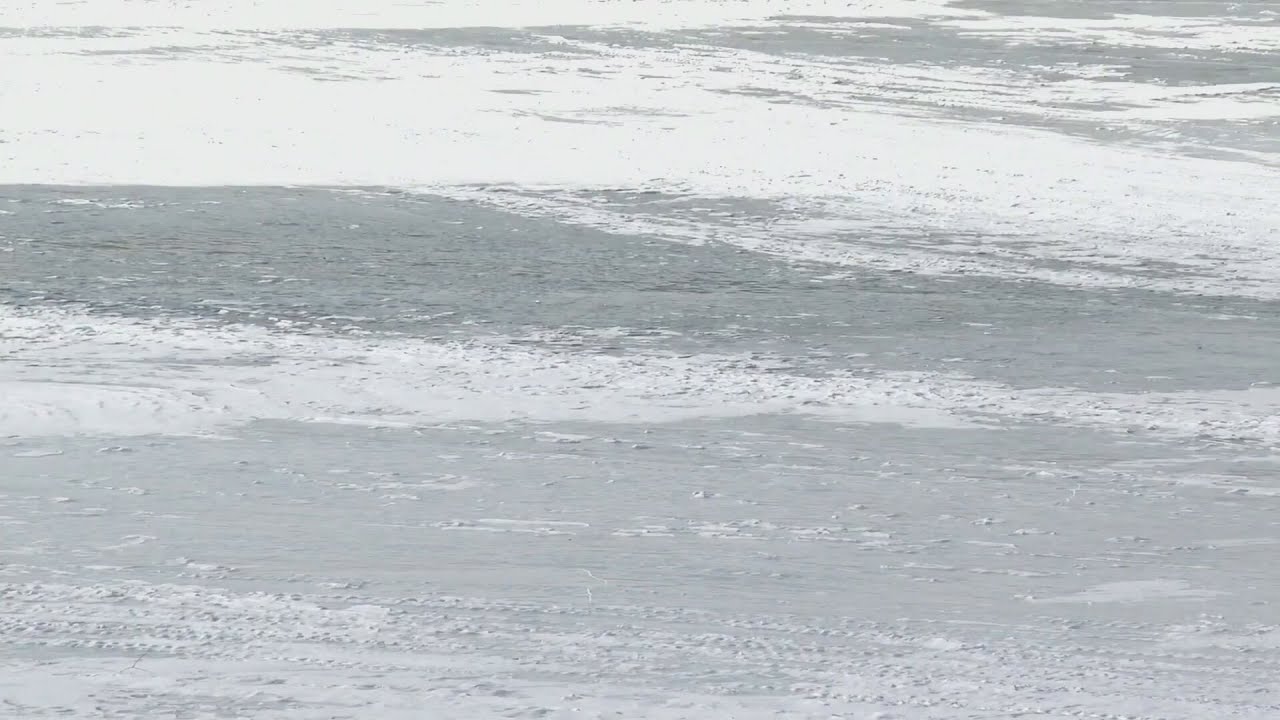 Silver Lake under investigation by DNR over fish kill