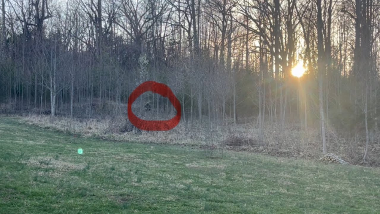 Backyard Security Camera Captures EVERYTHING That NO ONE Was Supposed To See!