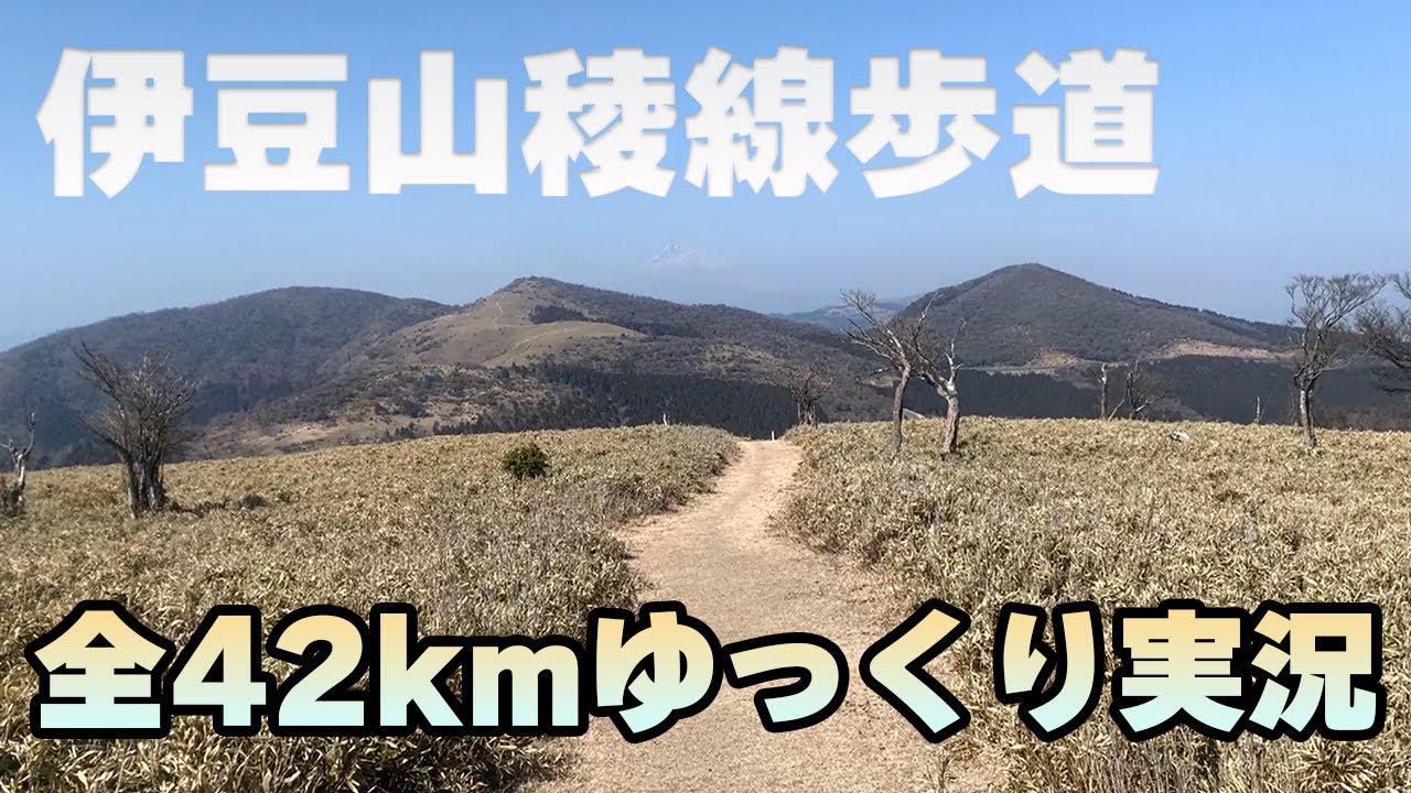 【伊豆山稜線歩道】全42kmゆっくり実況付き