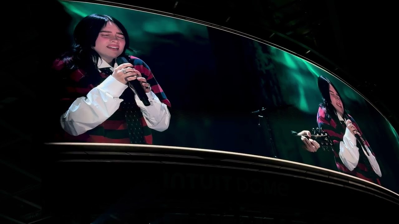 Billie Eilish & Finneas Live in Los Angeles, CA - FireAid LA 2025
