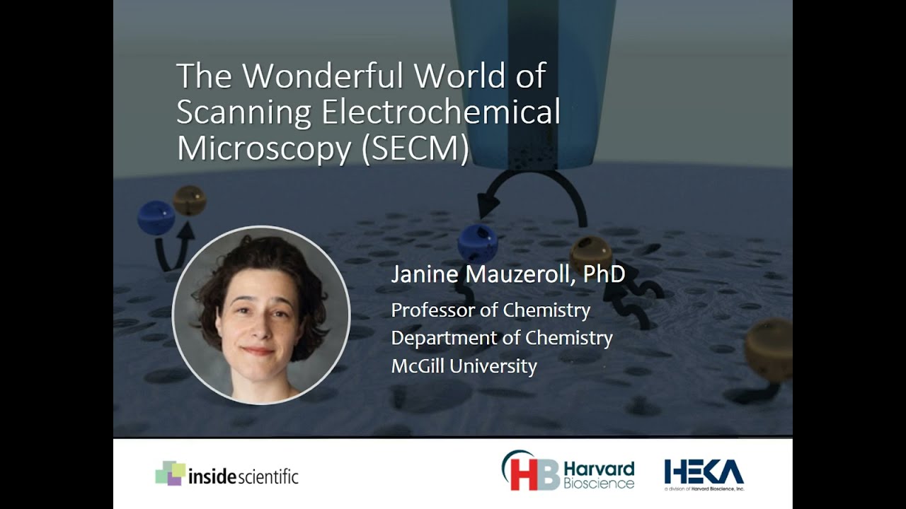 The Wonderful World Of Scanning Electrochemical Microscopy