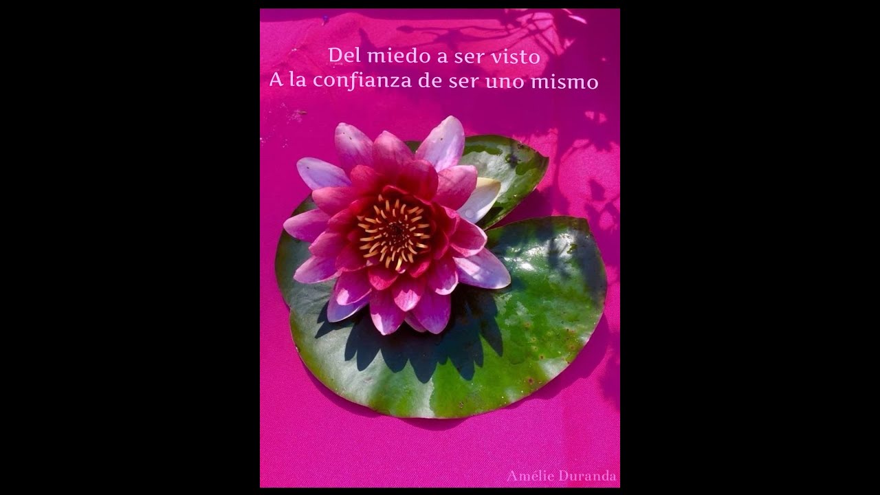 Del miedo a ser visto a la confianza de ser uno mismo - Meditación