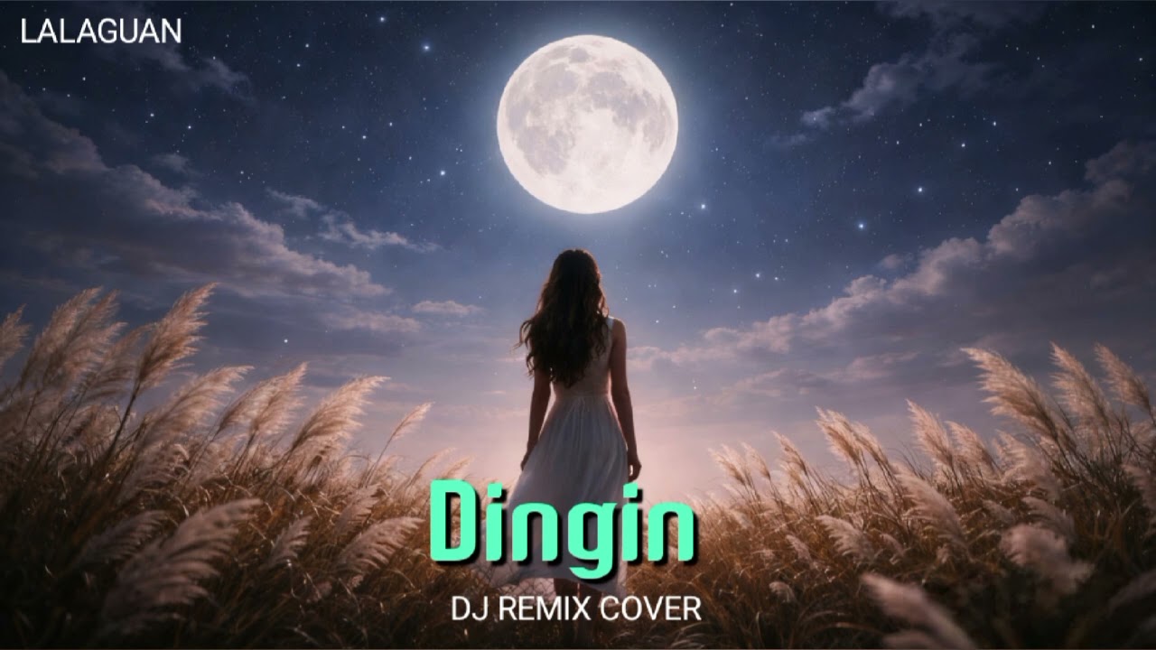 Dingin (DJ REMIX COVER)