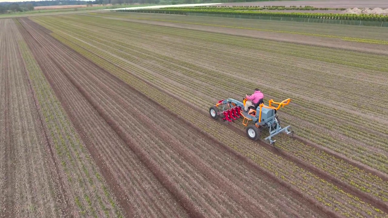 Terrateck - Binage en p&eacute;pini&egrave;re de buis avec porte outils