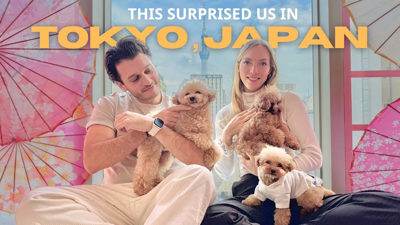 Tokyo Travel Vlog 🇯🇵 | Asakusa Toy Poodle Café to Shinjuku Neon Nights (Japan Series Pt. 2)