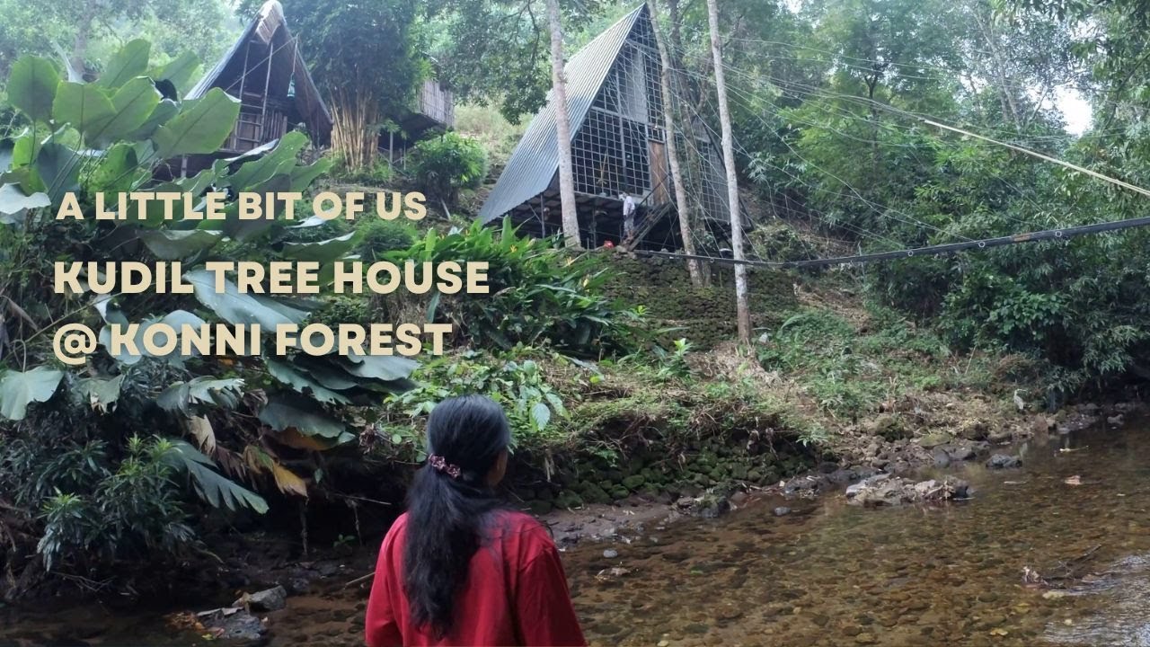 Kudil Tree House | Konni Reserve Forest | Ecofriendly home stay in jungle | a little bit of us