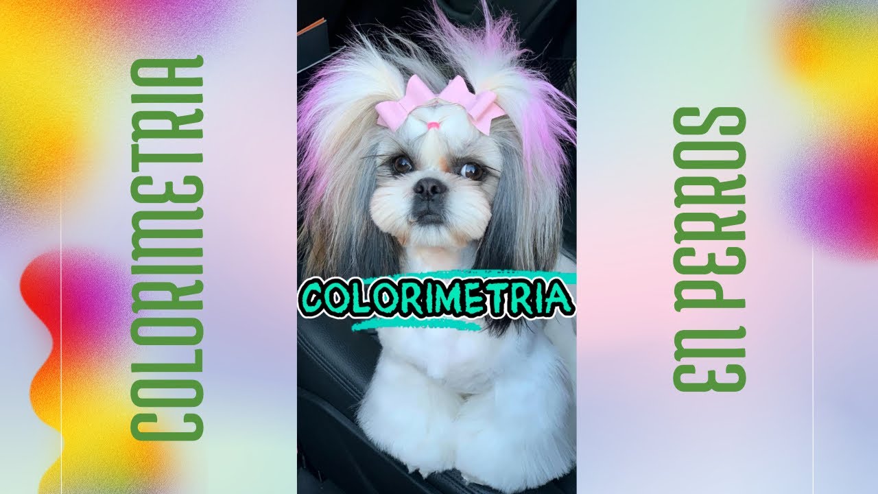 COLORIMETRIA EN PERROS