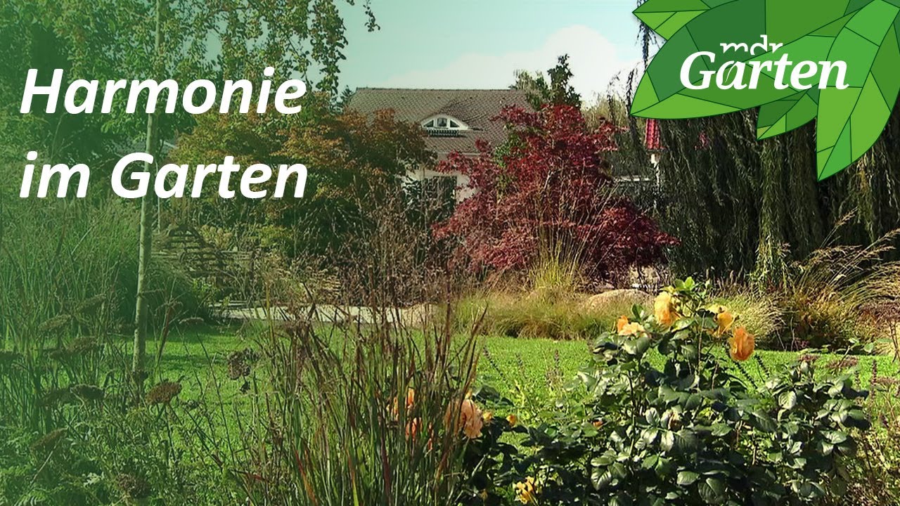 Traumgarten: Harmonisches Gartenreich an der Havel | MDR Garten