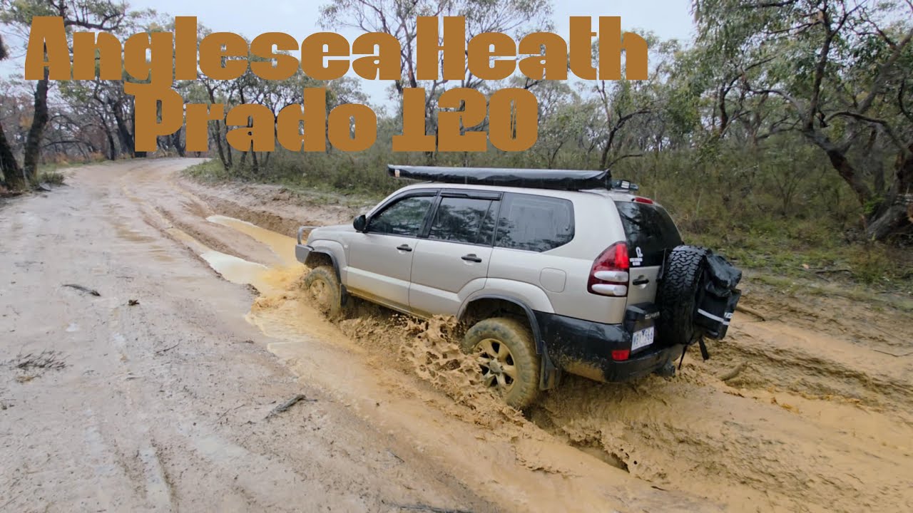 Anglesea heath prado 120