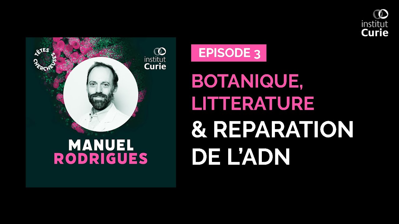 Têtes Chercheuses - Botanique, littérature & réparation de l’ADN avec Manuel Rodrigues