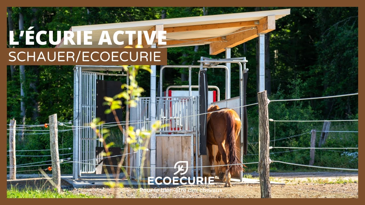 L'écurie active SCHAUER / ECOVEGETAL