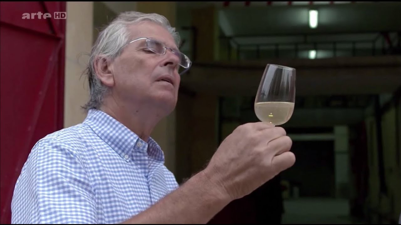 Production du vin blanc de prestige | إنتاج النبيذ بالمغرب