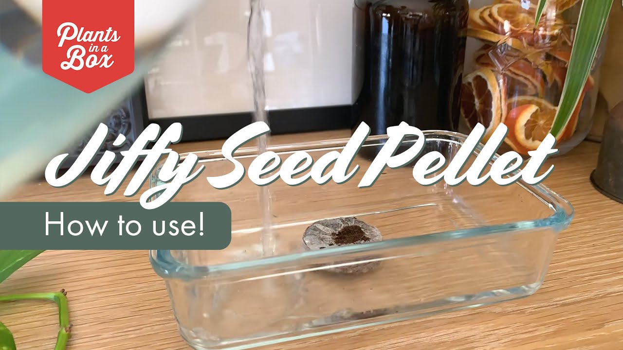 How to use Jiffy Seed Pellets