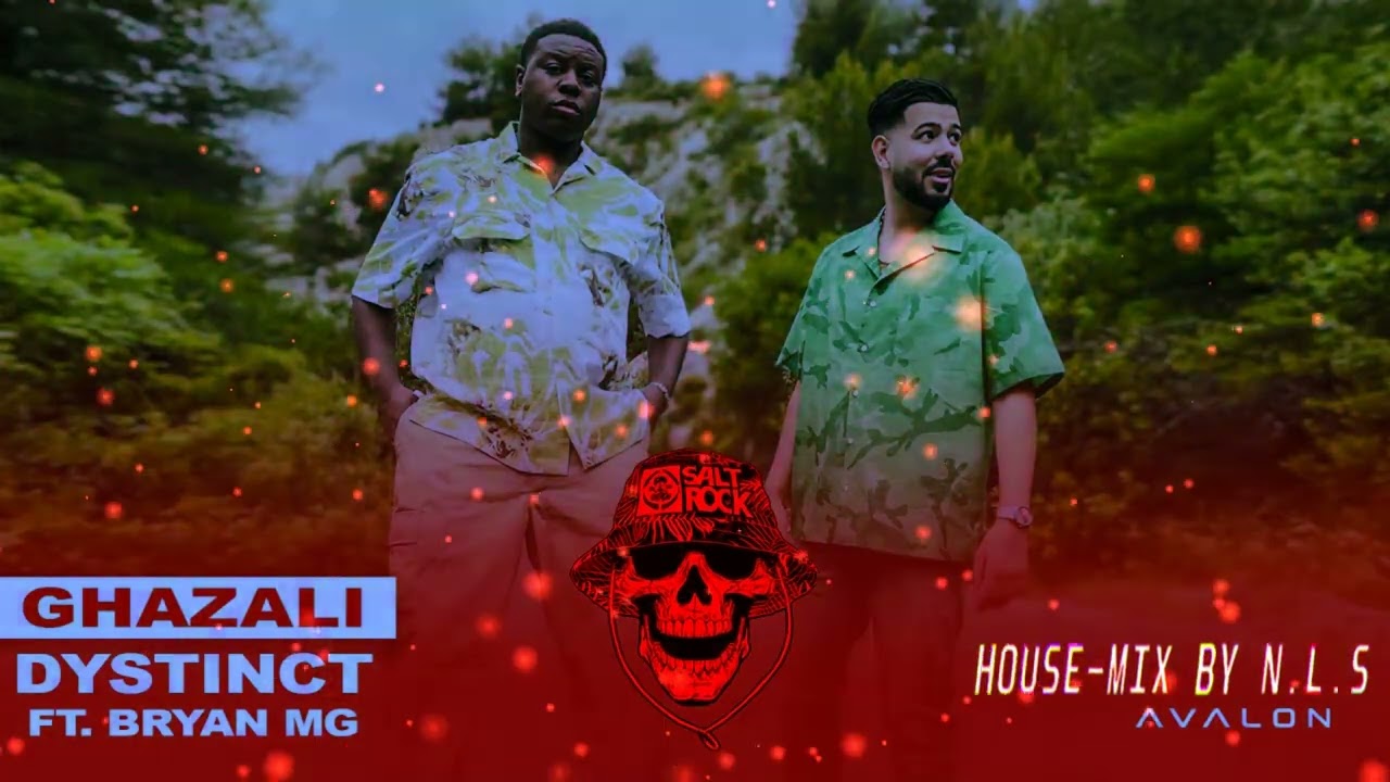 DYSTINCT - Ghazali ft. Bryan Mg | house version  by N.L.S