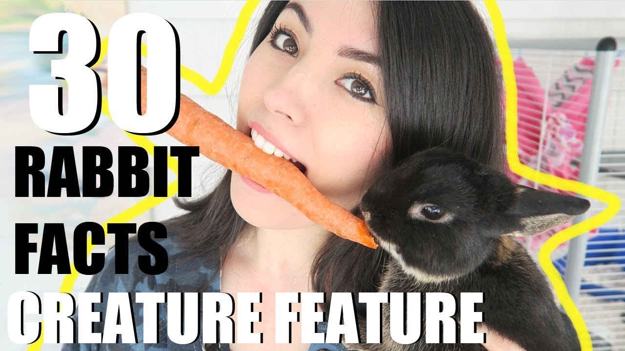 30 AMAZING RABBIT FACTS | CREATURE FEATURE