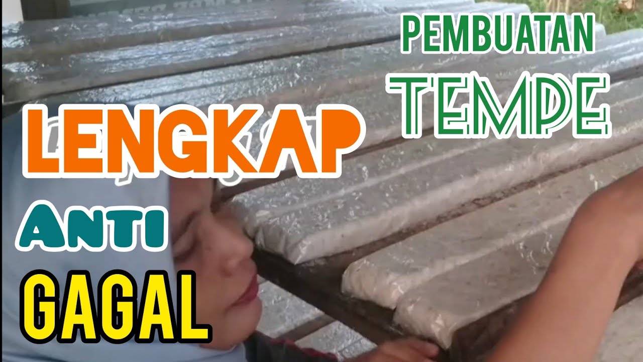 TUTORIAL CARA MEMBUAT TEMPE DARI AWAL SAMPAI AKHIR ANTI GAGAL